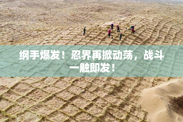 纲手爆发！忍界再掀动荡，战斗一触即发！