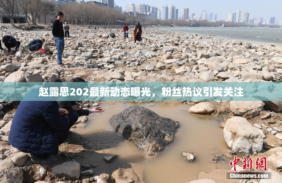 赵露思202最新动态曝光，粉丝热议引发关注