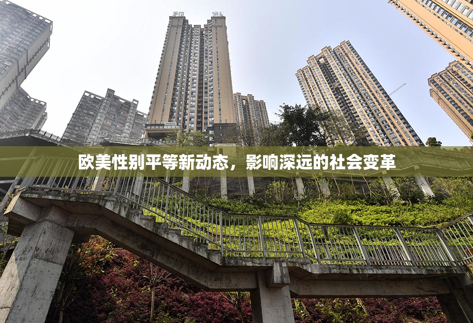 欧美性别平等新动态，影响深远的社会变革