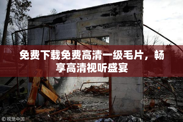 免费下载免费高清一级毛片，畅享高清视听盛宴