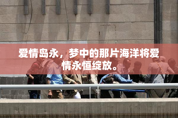 爱情岛永，梦中的那片海洋将爱情永恒绽放。