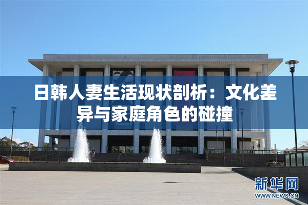 日韩人妻生活现状剖析：文化差异与家庭角色的碰撞