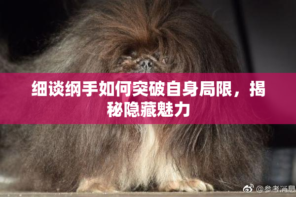细谈纲手如何突破自身局限，揭秘隐藏魅力