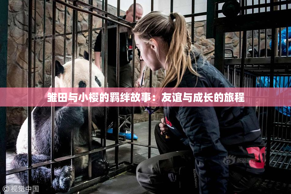 雏田与小樱的羁绊故事：友谊与成长的旅程