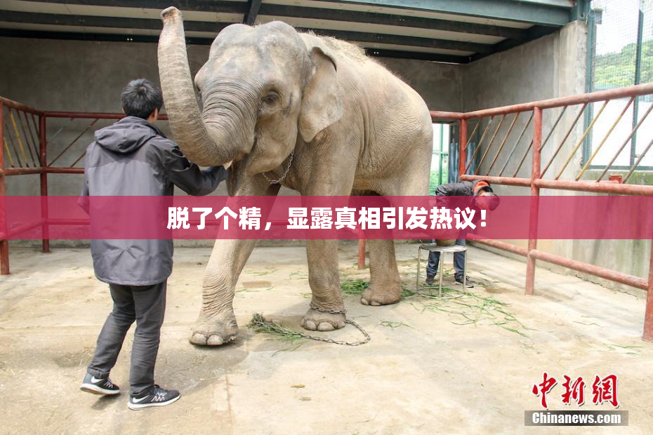 脱了个精，显露真相引发热议！
