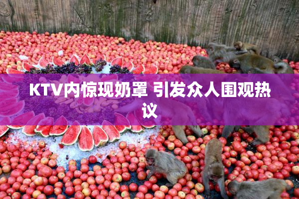 KTV内惊现奶罩 引发众人围观热议