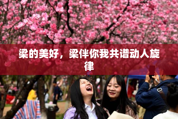 梁的美好，梁伴你我共谱动人旋律