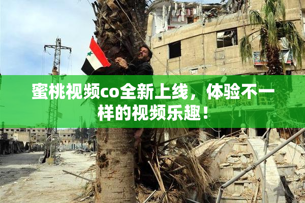 蜜桃视频co全新上线，体验不一样的视频乐趣！