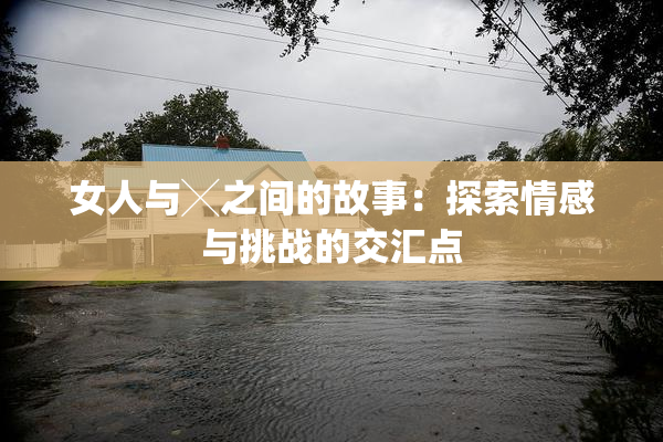 女人与╳之间的故事：探索情感与挑战的交汇点
