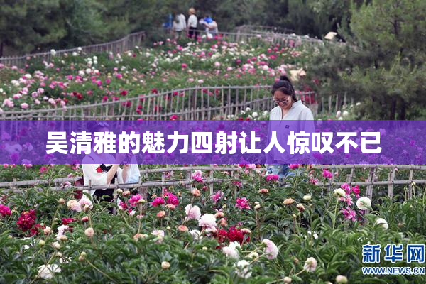 吴清雅的魅力四射让人惊叹不已
