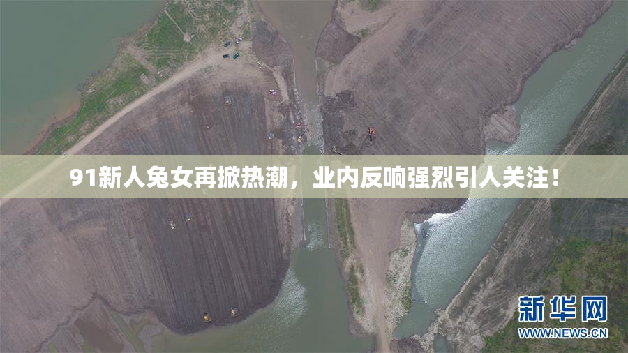 91新人兔女再掀热潮，业内反响强烈引人关注！
