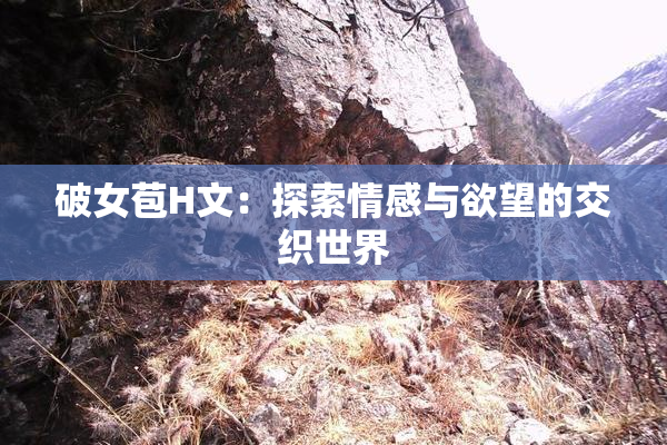 破女苞H文：探索情感与欲望的交织世界