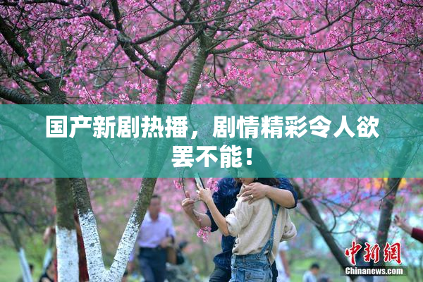 国产新剧热播，剧情精彩令人欲罢不能！