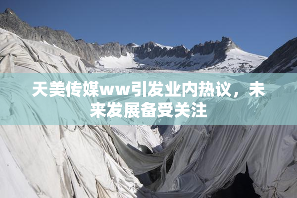天美传媒ww引发业内热议，未来发展备受关注