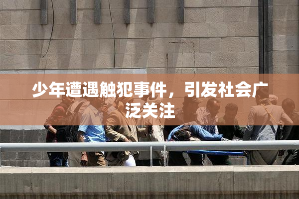 少年遭遇触犯事件，引发社会广泛关注