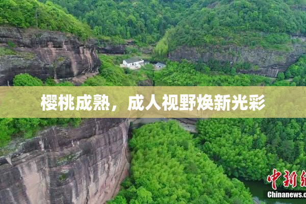 樱桃成熟，成人视野焕新光彩