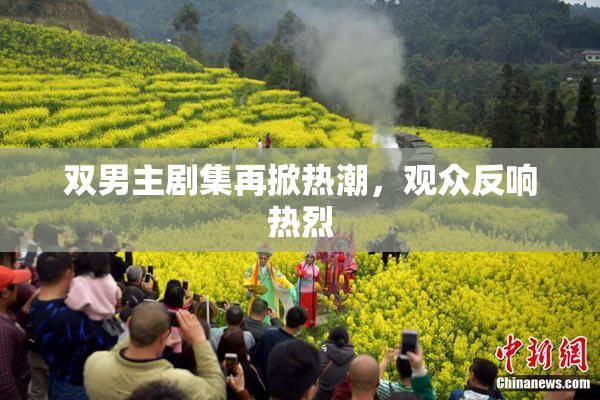 双男主剧集再掀热潮，观众反响热烈