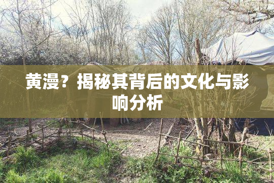 黄漫？揭秘其背后的文化与影响分析