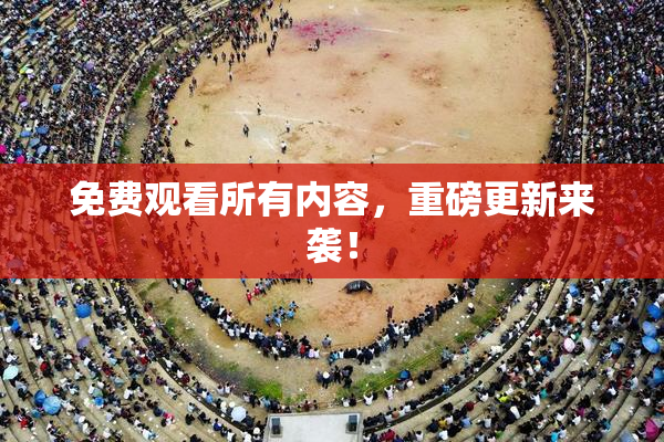 免费观看所有内容，重磅更新来袭！
