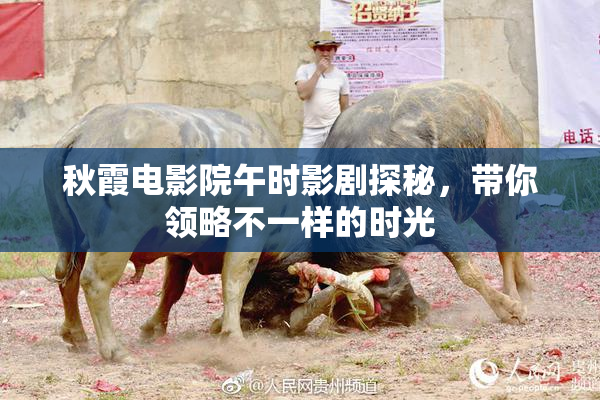 秋霞电影院午时影剧探秘，带你领略不一样的时光