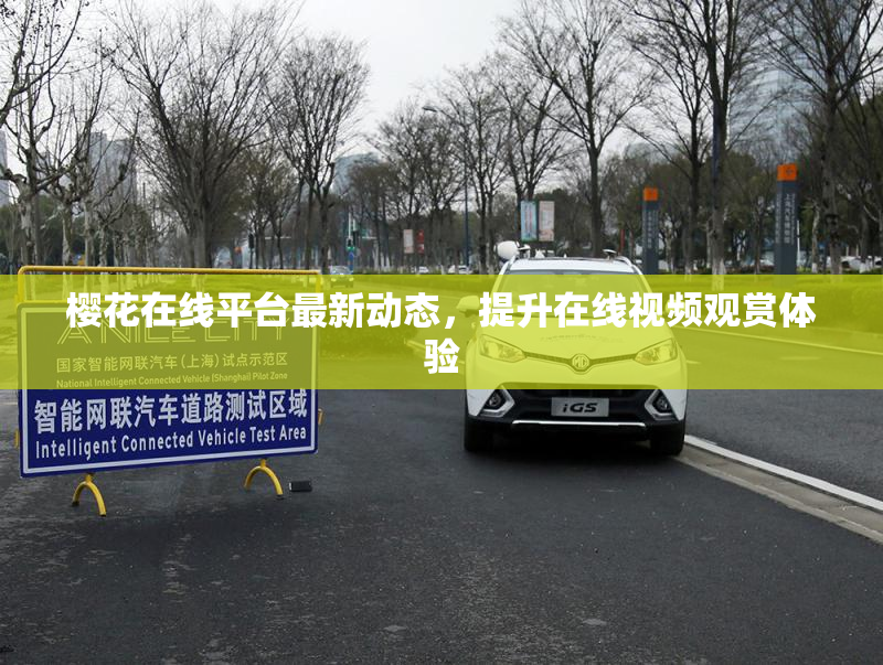 樱花在线平台最新动态，提升在线视频观赏体验