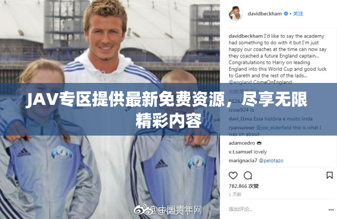 JAV专区提供最新免费资源，尽享无限精彩内容