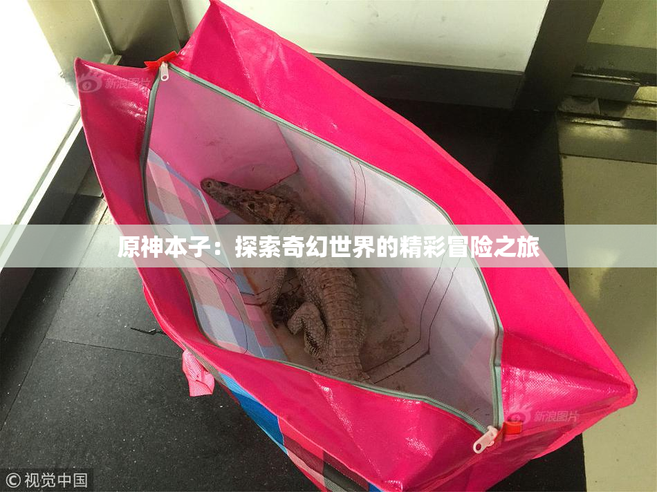 原神本子：探索奇幻世界的精彩冒险之旅