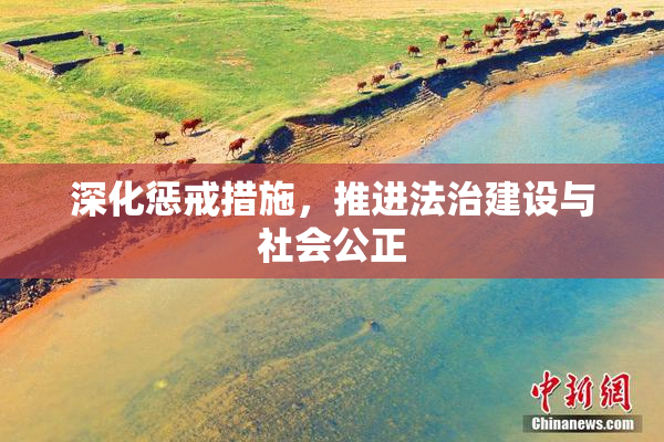 深化惩戒措施，推进法治建设与社会公正