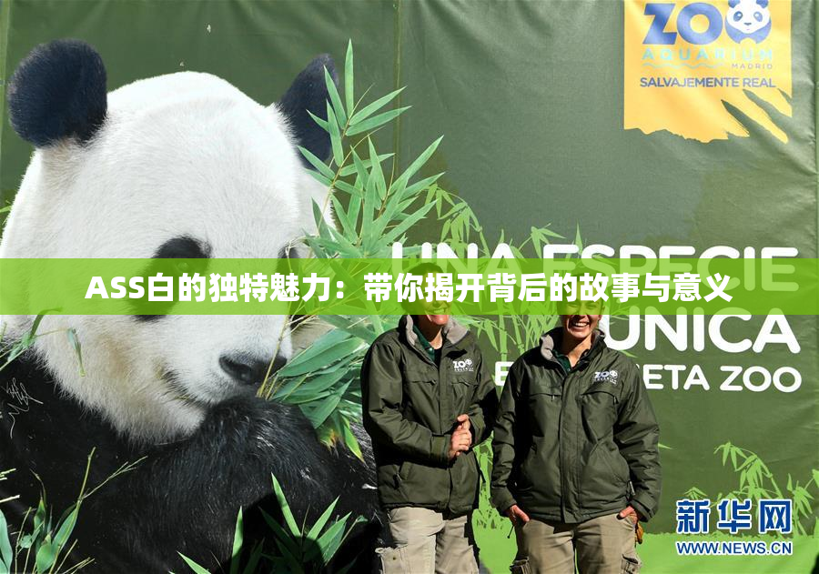 ASS白的独特魅力：带你揭开背后的故事与意义