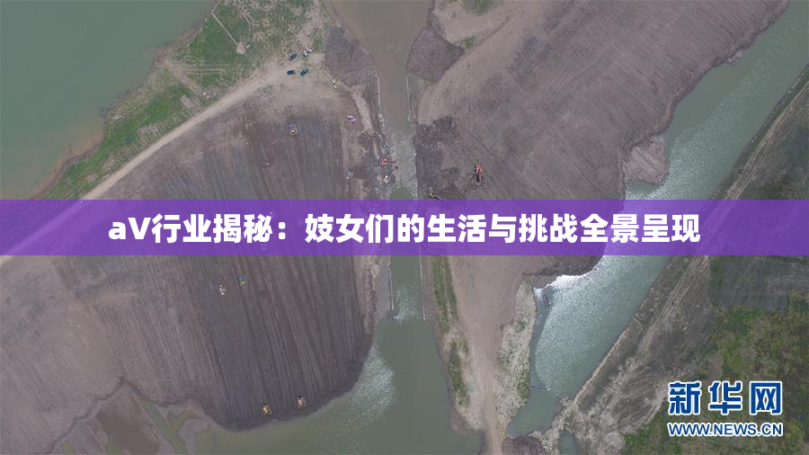 aV行业揭秘：妓女们的生活与挑战全景呈现