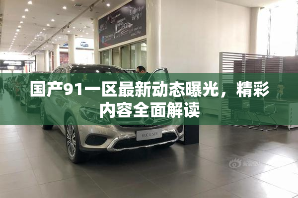 国产91一区最新动态曝光，精彩内容全面解读