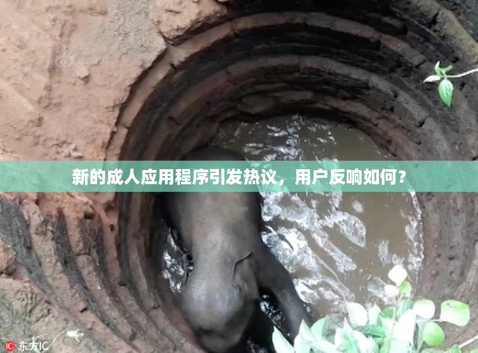 新的成人应用程序引发热议，用户反响如何？