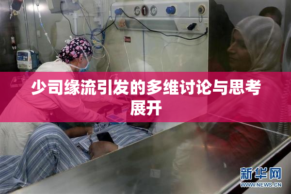 少司缘流引发的多维讨论与思考展开