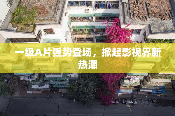 一级A片强势登场，掀起影视界新热潮