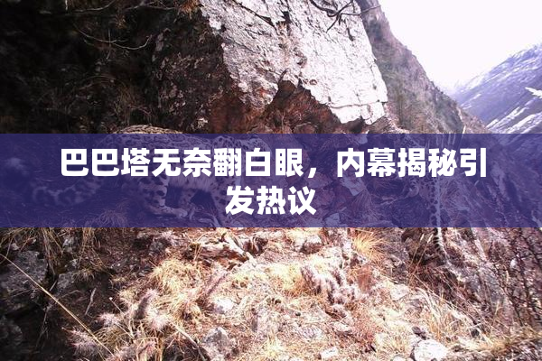 巴巴塔无奈翻白眼，内幕揭秘引发热议