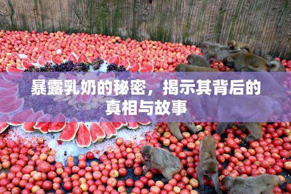 暴露乳奶的秘密，揭示其背后的真相与故事