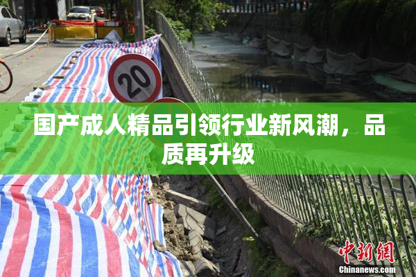 国产成人精品引领行业新风潮，品质再升级