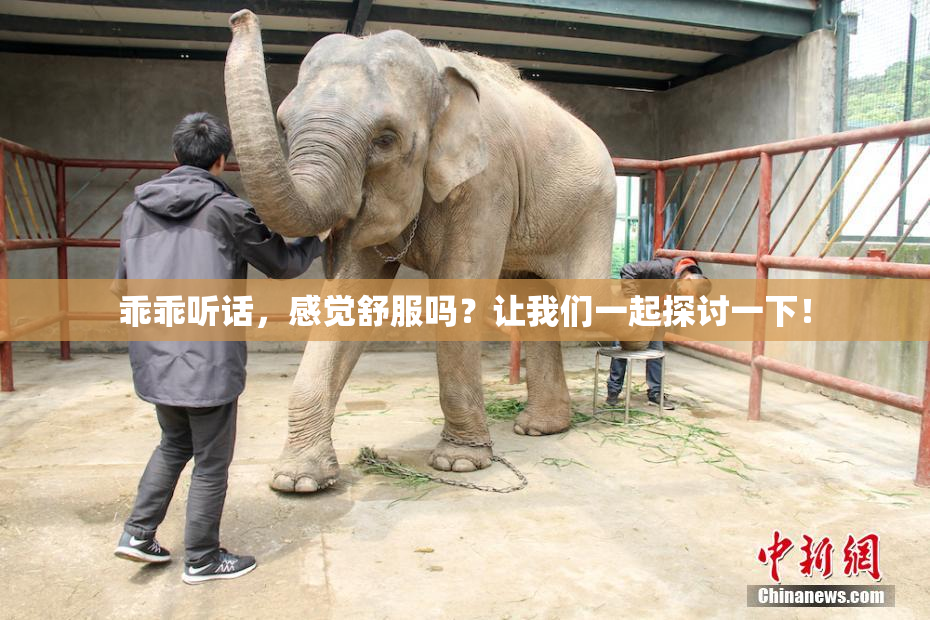 乖乖听话，感觉舒服吗？让我们一起探讨一下！