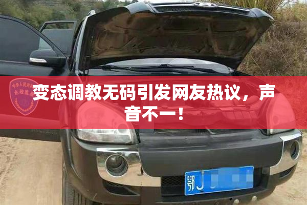 变态调教无码引发网友热议，声音不一！