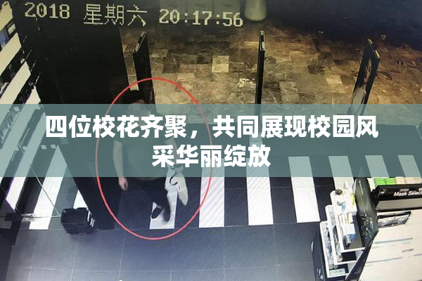四位校花齐聚，共同展现校园风采华丽绽放