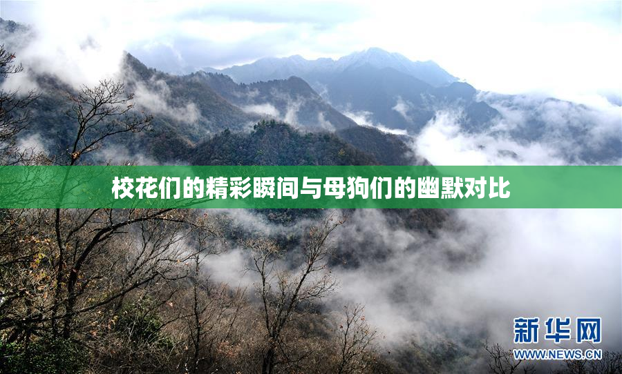 校花们的精彩瞬间与母狗们的幽默对比