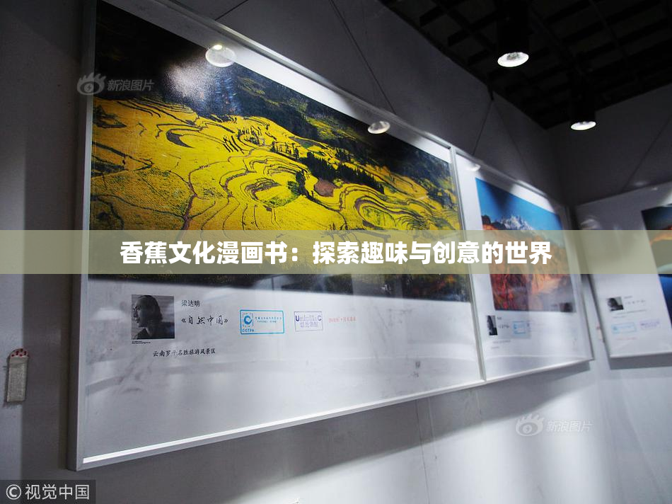 香蕉文化漫画书：探索趣味与创意的世界