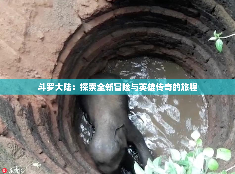 斗罗大陆：探索全新冒险与英雄传奇的旅程