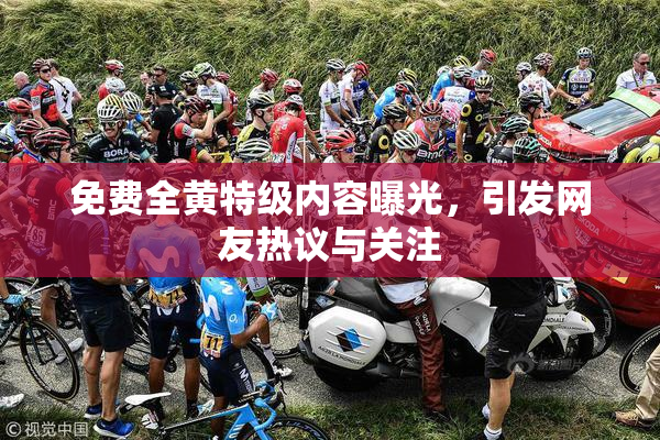 免费全黄特级内容曝光，引发网友热议与关注