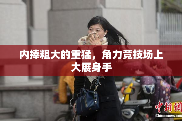 内捧粗大的重猛，角力竞技场上大展身手