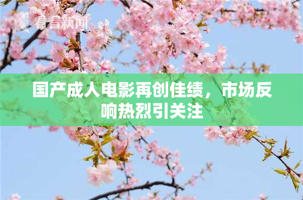 国产成人电影再创佳绩，市场反响热烈引关注