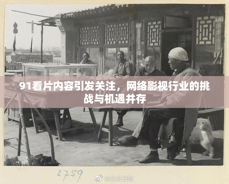91看片内容引发关注，网络影视行业的挑战与机遇并存