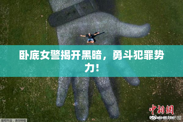 卧底女警揭开黑暗，勇斗犯罪势力！