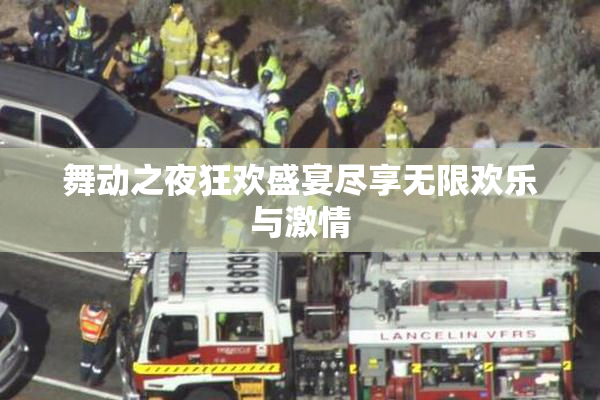 舞动之夜狂欢盛宴尽享无限欢乐与激情