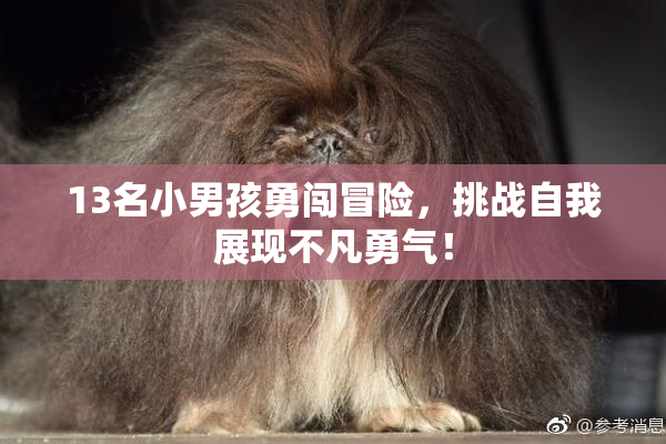 13名小男孩勇闯冒险，挑战自我展现不凡勇气！